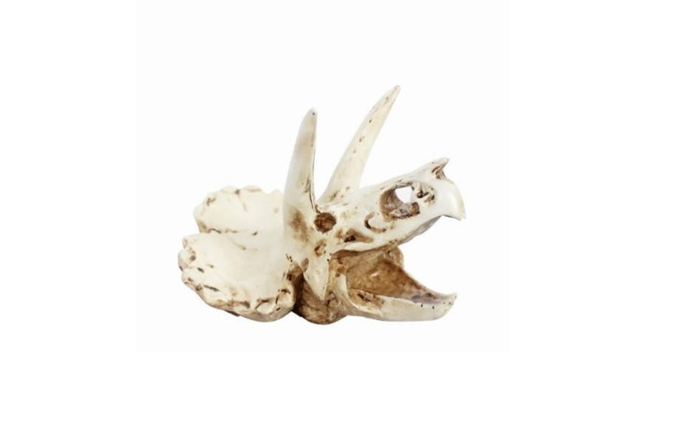 Skull (17x11.5x11.5cm)