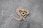 Banana Pastel Gravel  -YB 100% Het Clown  male