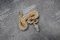 Banana Pastel Gravel  -YB 100% Het Clown  male
