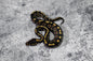 Chocolate 50% Het hypo  Female