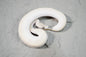 Enchi Ivory female