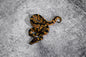 Enchi Het. Pied  Male