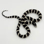 California King Snake - Banded