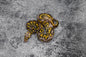 Pastel OD YB Clown 50% Het Pied Male