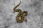 Pastel OD YB Crypton 50% Het Pied Poss Leopard  Male