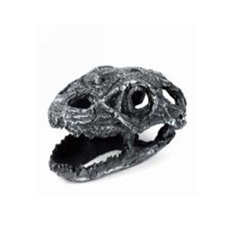 Dinosaur skull (19x12x12cm)