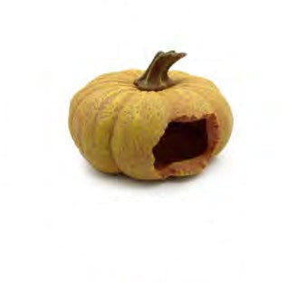 Pumkin hide (17*17*11cm)