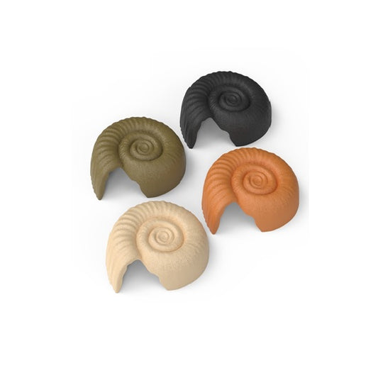 Spiral Shell Hide